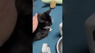 Плохие  новости для Кокса😂 | мемы | приколы от zubarefff 
