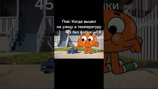 мем 