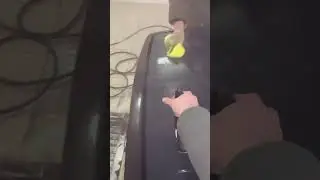 Проверили кварцевое покрытие на четверке 😅🙀🤝