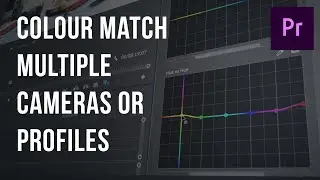 EASY WAY to MATCH different CAMERAS or PICTURE PROFILES | Adobe Premiere Pro Tutorial