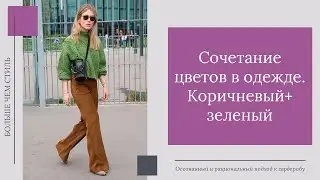 Сочетание цветов в одежде.  Коричневый и зеленый