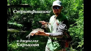 Стритфишинг на микроречке в джунглях Харькова. Охота на голавля.