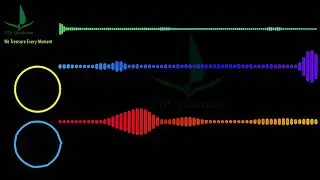 Visualizer (No Sound) 