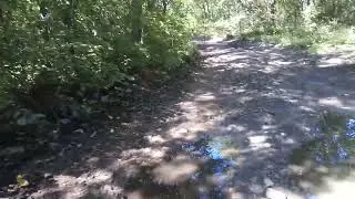 Я прям как бурлак на Волге.