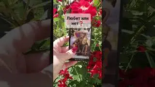 ЛЮБИТ ИЛИ НЕТ❓ 