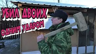 ПОПРАВИЛ КЛЕТКУ ДЛЯ КРОЛИКОВ ЕСЬКИНА КЛЕТКА У КРОЛИКОВ В ДЕЛЕ Кролики содержание и разведение