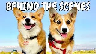 Behind the Scenes of a Hammy and Olivia Viral Video!