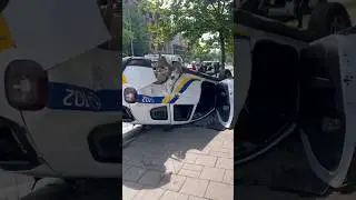 Головокружительный вираж полиции.