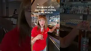 Trying the STRONGEST aquavit alcohol in the WORLD on my Norwegian HX Hurtigruten cruise ship!