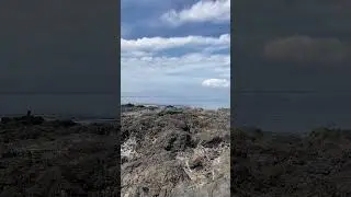 Las Americas. Черный песок, голубой океан. 