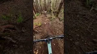 Tech or flow?