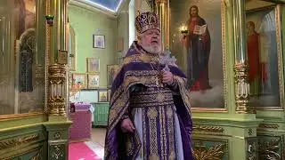 Исцеление расслабленного. Слово почетного настоятеля прот. Виктора Петлюченко