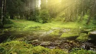 Liquid Drum and Bass Mix 2024 #7