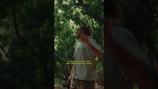 ¿De dónde salen los Mangos?