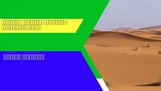 Таможенные формальности