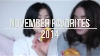 November Favorites 2014