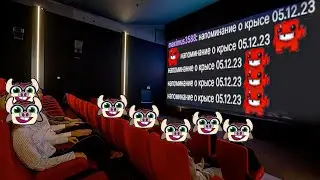Крысиный позор Сильвернейма 05.12.2023 + рейдж от чата | SilverName Heartstone