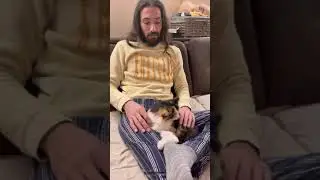 Baby Kitten in Jelio's Lap with Tsetsi. Котенце Лежи в Скута на ЖельоМир.