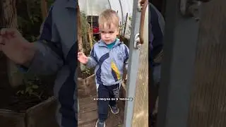 ПЕРВЫЙ раз на даче🤣 