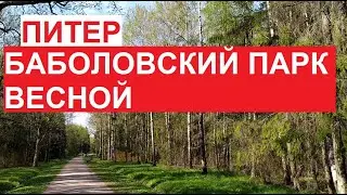 Баболовский парк весной | #Петербург, середина мая 2023