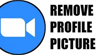 [Updated] How To Remove Profile Picture on Zoom!! Quick & Easy