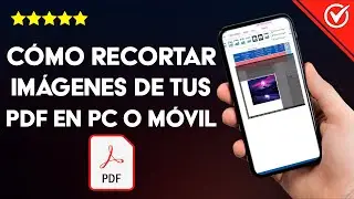 ¿Cómo recortar IMÁGENES de tus PDF con el móvil o PC? - Edición completa