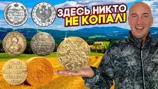 Рубли, золото, гривенники и уделы! Дорогие монеты на каждом шагу! Нашли нетронутую ярмарку!