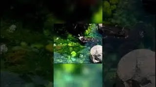 Лягушка Съела Воробья