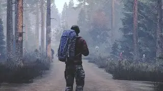 Dayz standalone online