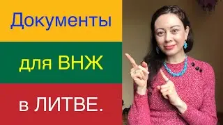 Какие документы нужны для получения ВНЖ в Литве?