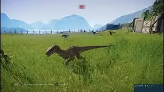 Jurassic World Evolution Velociraptor 1997 Female pattern