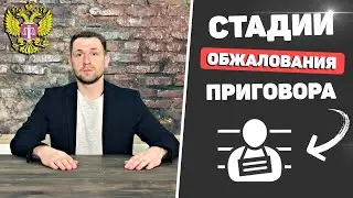 Сколько раз можно обжаловать приговор?