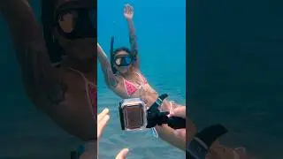 Mermaid inspection ✅ passed