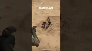 Star Wars Outlaws: милота и БАГИ