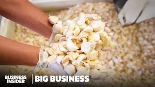 How The US Biggest Garlic Producer Survived The Fall Of American Garlic | Big Business