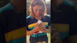 Cute rabbits❤️🐰🐇