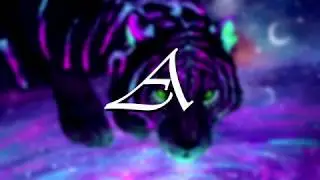 House sessions #1 - Antton