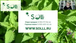 О пользе молодой крапивы жгучей
