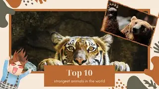 Top 10 Strongest Animals In The World
