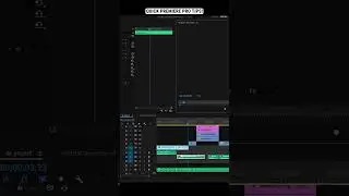 Premiere Pro Tips Every Editor Should Know: Audio Effects to Enhance Voice | 
