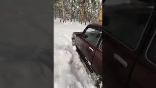 Ближе к лесу)
