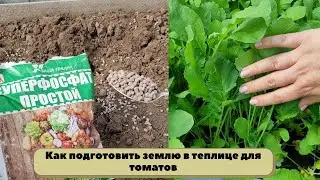 Как готовить с осени землю в теплице для выращивания томатов