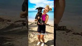 I Saved 10 Abandoned Dogs!