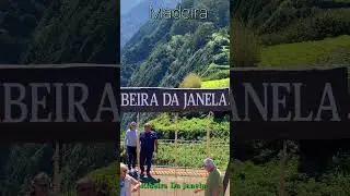 Ribeira Da Janela MADEIRA PORTUGAL #madeiraportugal #madeira