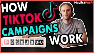 How TikTok Music Promotion Works