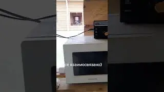 12 ноября 2023 г.