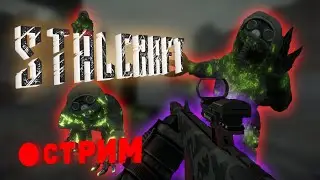 Ищу голубой магический шар ► Stalcraft X | 🔴 Стрим