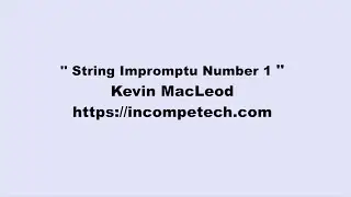 Kevin MacLeod ~ String Impromptu Number 1