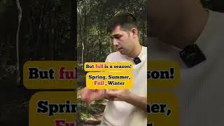 Fool, Full, Foal, Foul or Fall? English Pronunciation 
