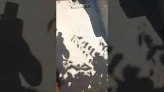 Такого треша я еще не видел... а вы? 